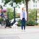 Nylon Traffic Lead on Dog
