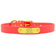 Waterproof Standard NamePlate Collar with Brass Hardware Coral