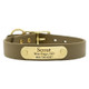 Waterproof Standard NamePlate Collar with Brass Hardware Sage Waterproof Standard NamePlate Collar with Brass Hardware Sage