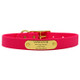 Waterproof Standard NamePlate Collar with Brass Hardware Magenta Waterproof Standard NamePlate Collar with Brass Hardware Magenta