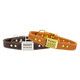 Waterproof Stitched ScruffTag Dog Collars