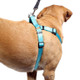 Step-In Dog Harness Turquoise Leash dogIDs Step-In Dog Harness Turquoise Leash dogIDs