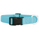 Nylon Dog Collar Turquoise dogIDs