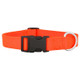 Nylon Dog Collar Orange dogIDs Nylon Dog Collar Orange dogIDs
