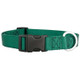 Nylon Dog Collar Hunter Green dogIDs Nylon Dog Collar Hunter Green dogIDs
