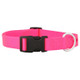 Nylon Dog Collar Hot Pink dogIDs Nylon Dog Collar Hot Pink dogIDs
