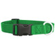 Nylon Dog Collar kelly Green dogIDs Nylon Dog Collar kelly Green dogIDs