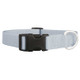 Nylon Dog Collar Silver dogIDs Nylon Dog Collar Silver dogIDs