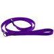 Nylon Slip Lead Purple