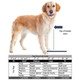 Elevated Dog Bowls Sizing Chart Elevated Dog Bowls Sizing Chart