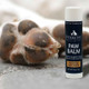 Pendleton Paw Balm by Dog Paw