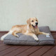 Luxe Neutral GreenDog Napper Dog Bed with Golden Retriever