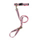 Pendleton Eco-Friendly Adventure Collar & Leash San Miguel