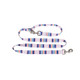 Pendleton Eco-Friendly Adventure Yellowstone Leash