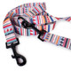 Pendleton Eco-Friendly Adventure Tamiami Leash