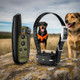 Garmin Sport PRO Electronic Dog Training System with Dogs Outside Garmin Sport PRO Electronic Dog Training System with Dogs Outside