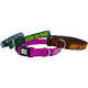 Embroidered Nylon Dog Collars dogIDs