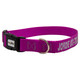 Embroidered Nylon Dog Collar Raspberry with Silver Embroidery