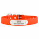 Waterproof Dog Collar with Personalized Nameplate Blaze Orange dogIDs