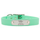 Waterproof Soft Grip Collar with Personalized Nameplate Mint dogIDs