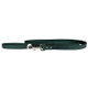 Designer Soft Leather Dog Leash Pine Green Designer Soft Leather Dog Leash Pine Green