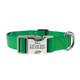 Personalized Buckle Nylon Dog Collar Kelly Green Metal Buckle