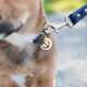 Symbol Dog ID Tag Anchor on Dog