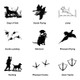 Sport Dog Round ID Tags Designs Sport Dog Round ID Tags Designs