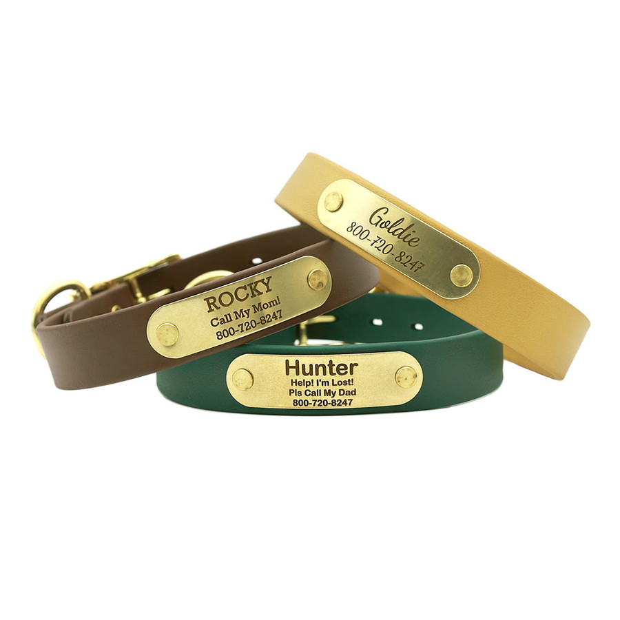 Waterproof Standard NamePlate Collar with Brass Hardware Group