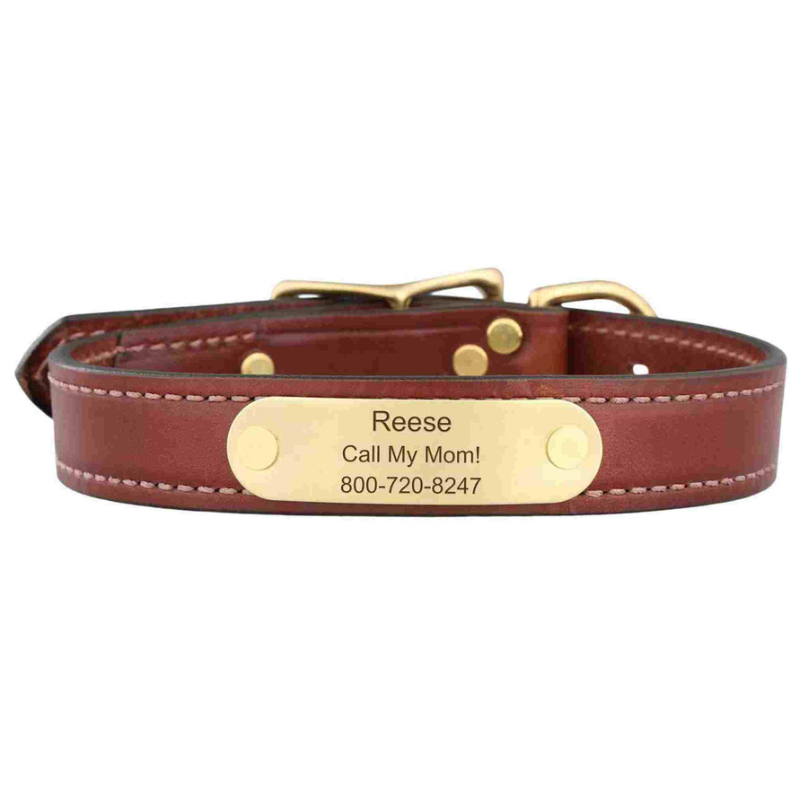 Mendota Leather Dog Collar Personalized Name Plate dogIDs dogIDs