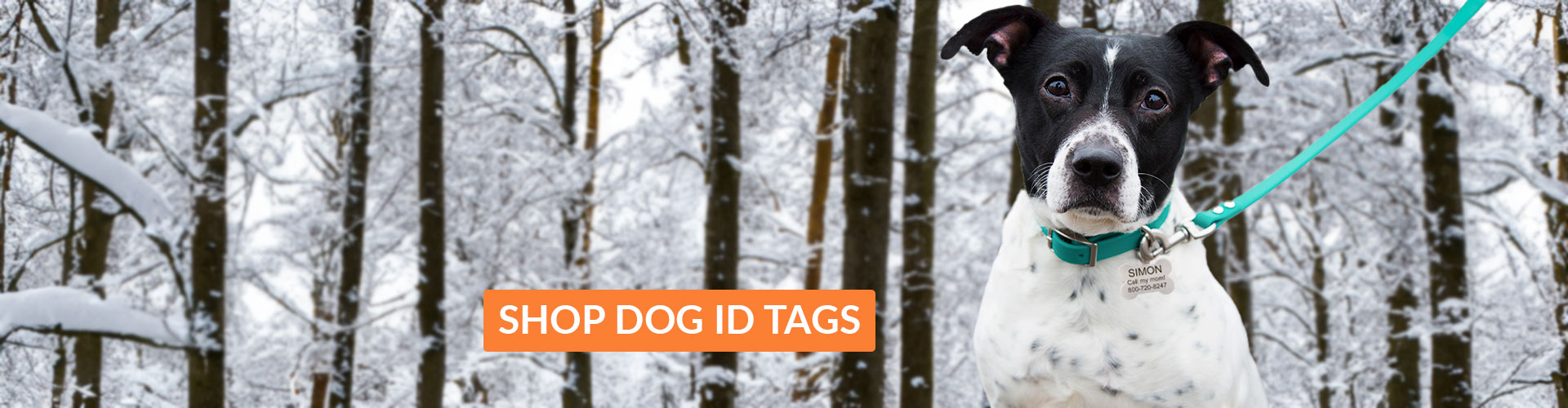 Circle Pet ID Tag – The Foggy Dog