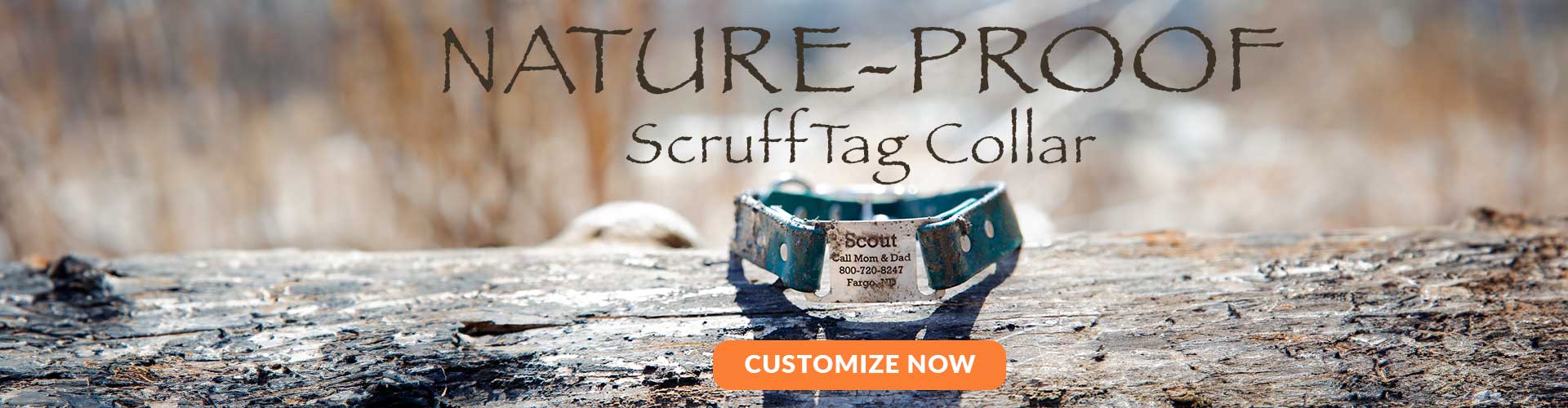 shop personalized dog collars