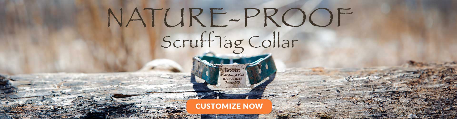 shop personalized dog collars