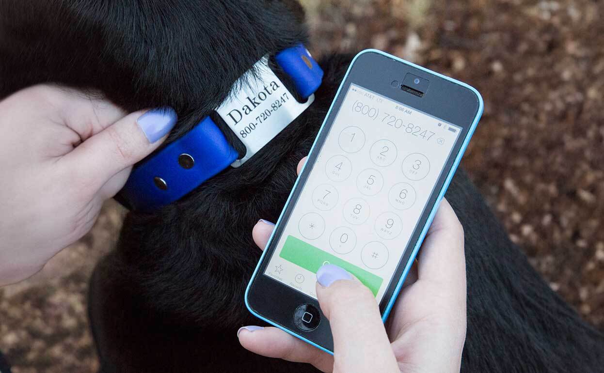 ScruffTags Help Finders of Lost Pets Contact Family Quicker