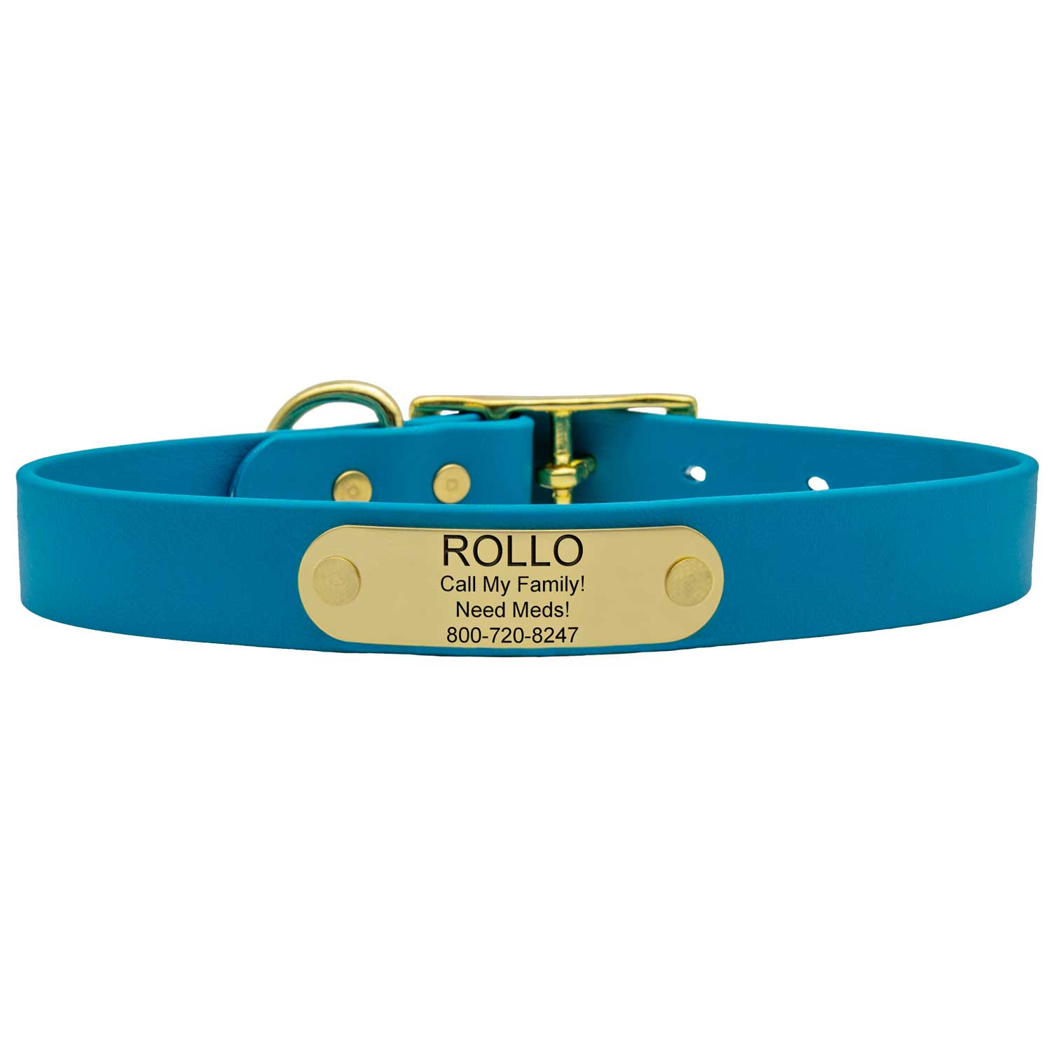 Waterproof Standard NamePlate Collar with Brass Hardware Tropical Blue