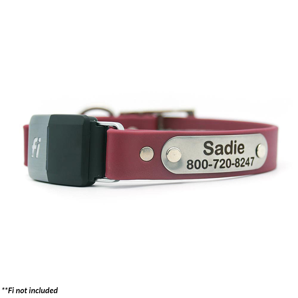 Fi Compatible Waterproof Collar with Personalized Nameplate