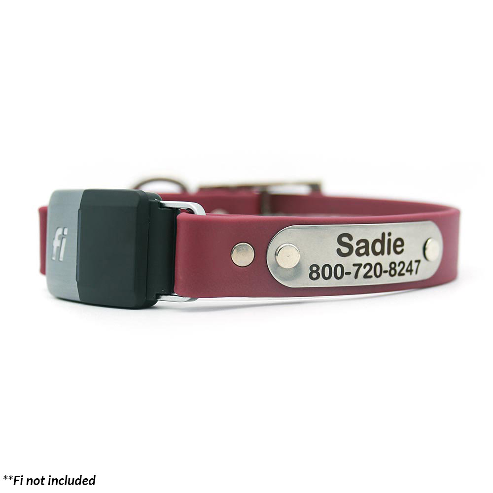 Lana  Fi Smart Dog Collar