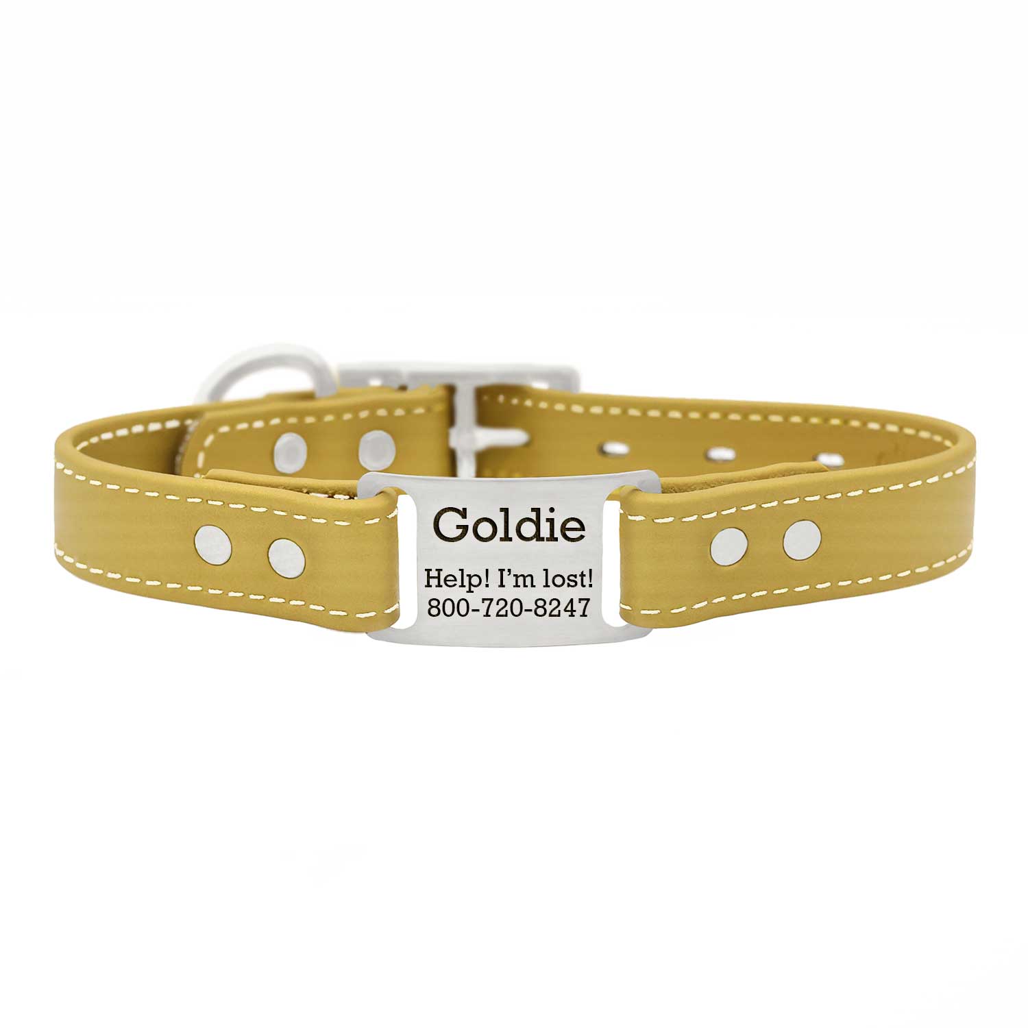 Waterproof Faux Leather ScruffTag Collar Gold Stainless Steel dogIDs