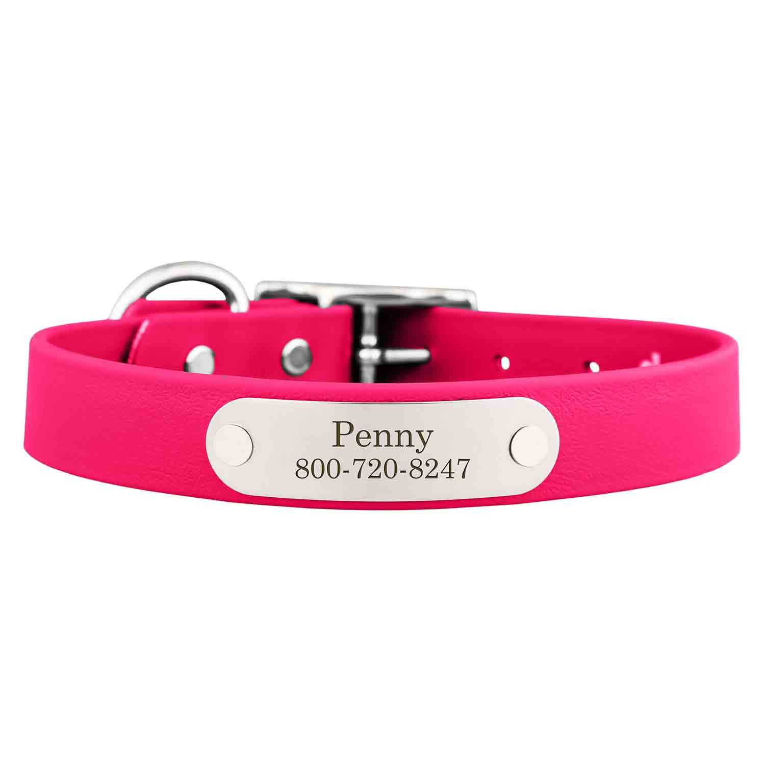 Waterproof Dog Collar with Personalized Nameplate dogIDs