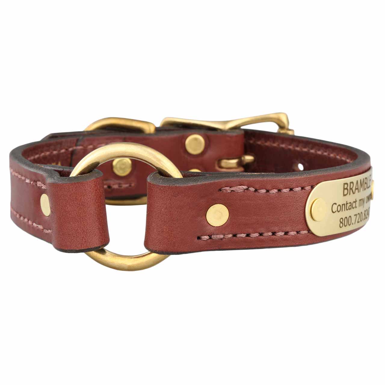 Leather dog collar with clearance gold nameplate