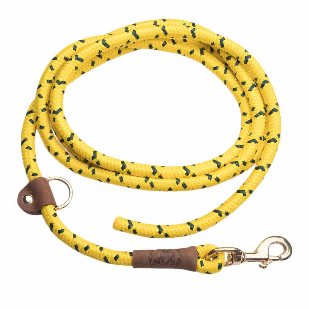 Braided EZ Trainer Leash