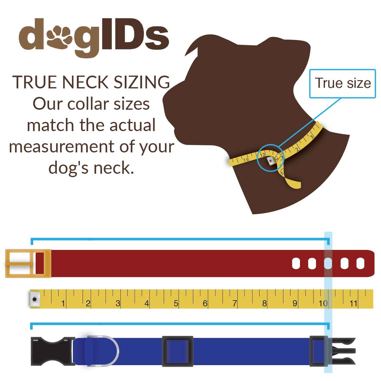 Dog collar sizing instructions