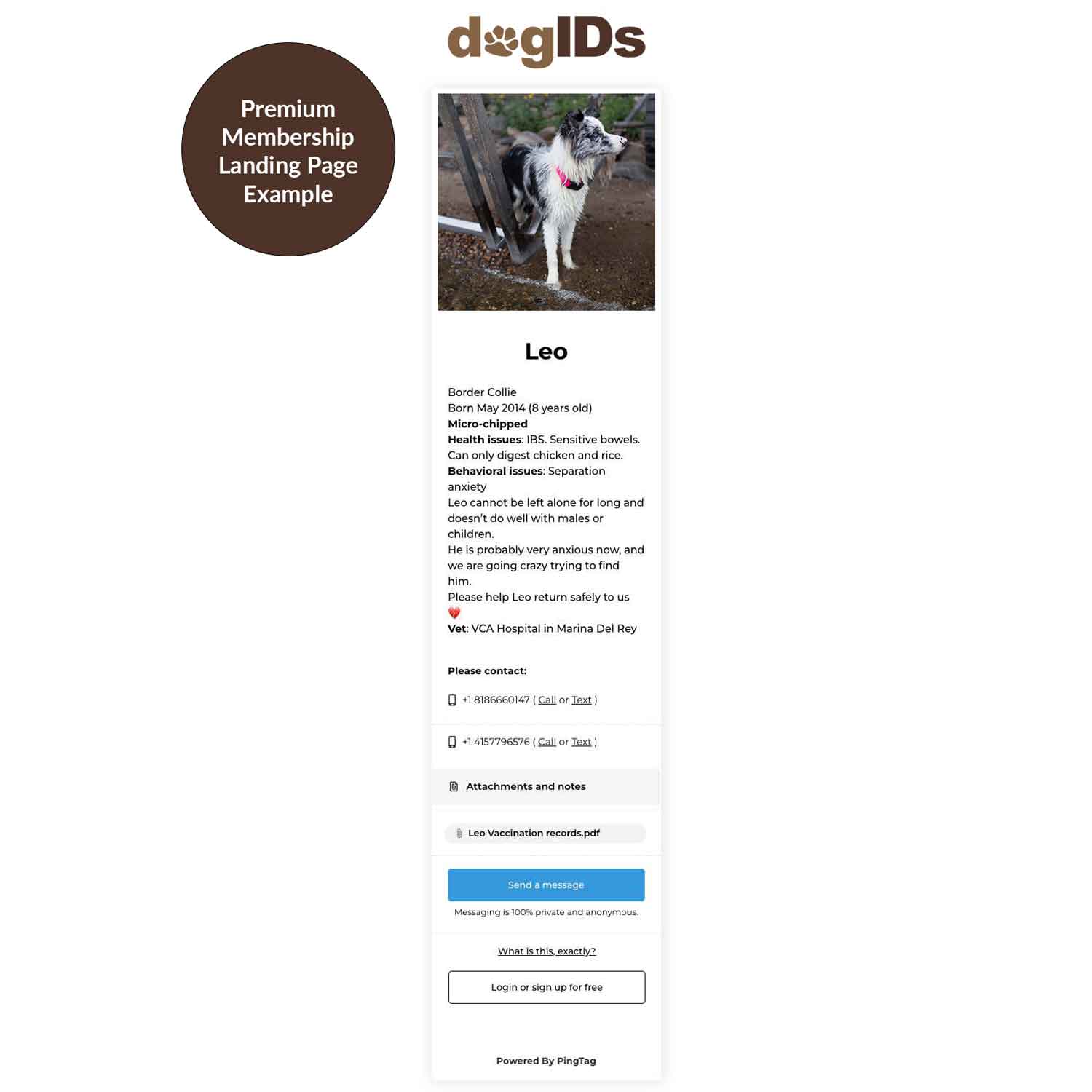 PingTag Pet QR Code Premium Listing Example