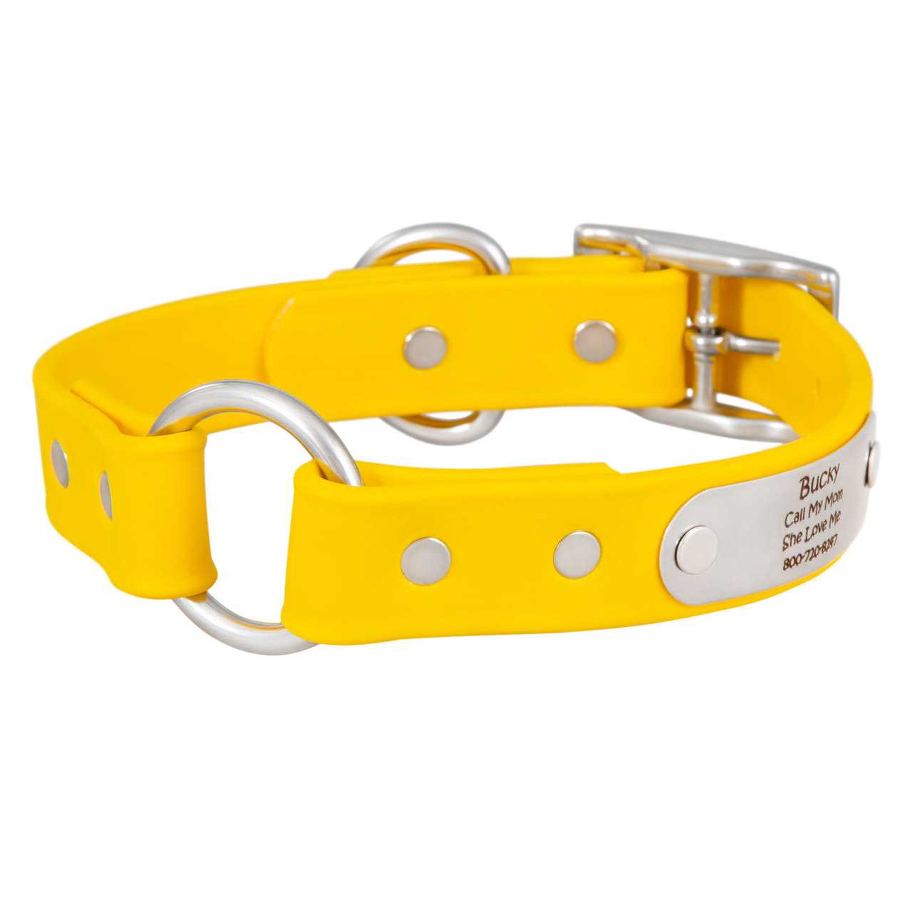 Waterproof Safety Collar with Nameplate dogIDs