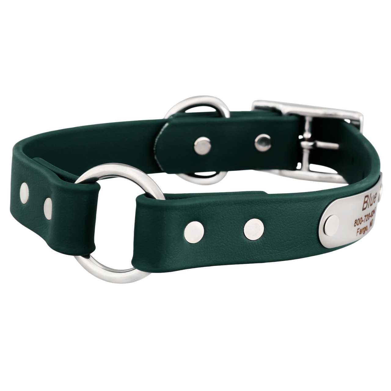 Waterproof Safety Collar with Nameplate dogIDs