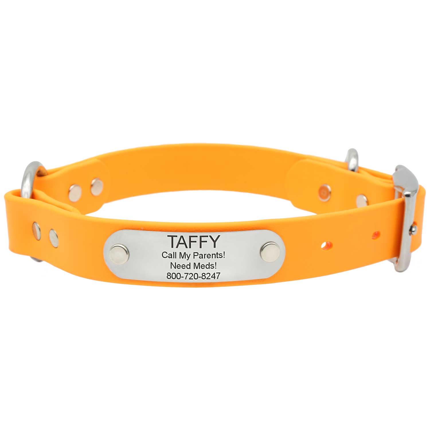 Waterproof Safety Collar with Nameplate Creamsicle dogIDs