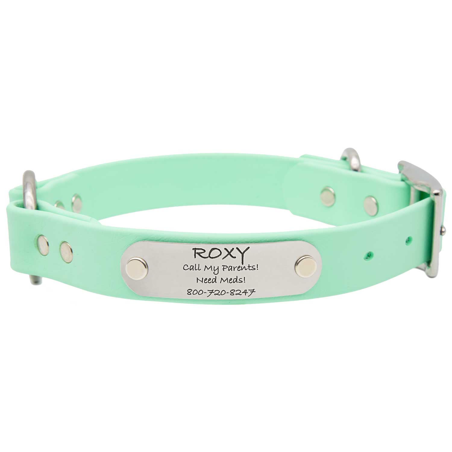 Waterproof Safety Collar with Nameplate Mint dogIDs