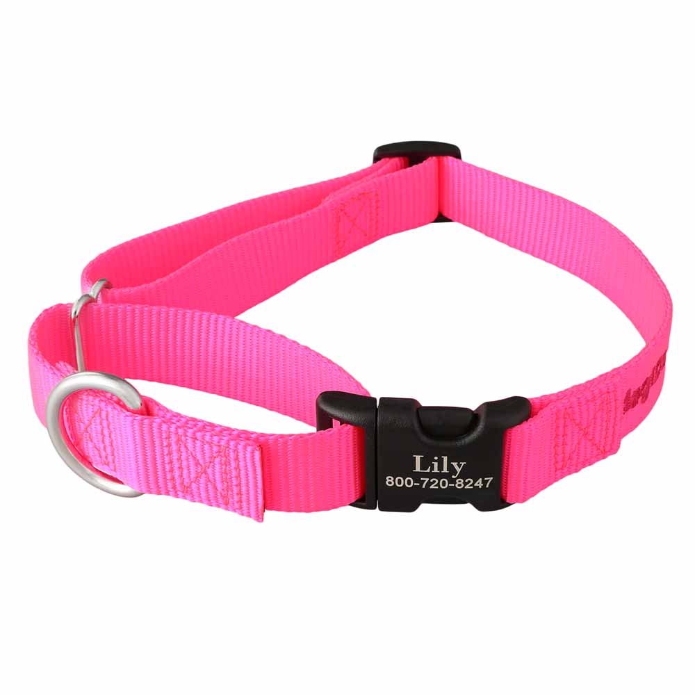 Martingale Dog Collar with Personalized Buckle Hot Pink