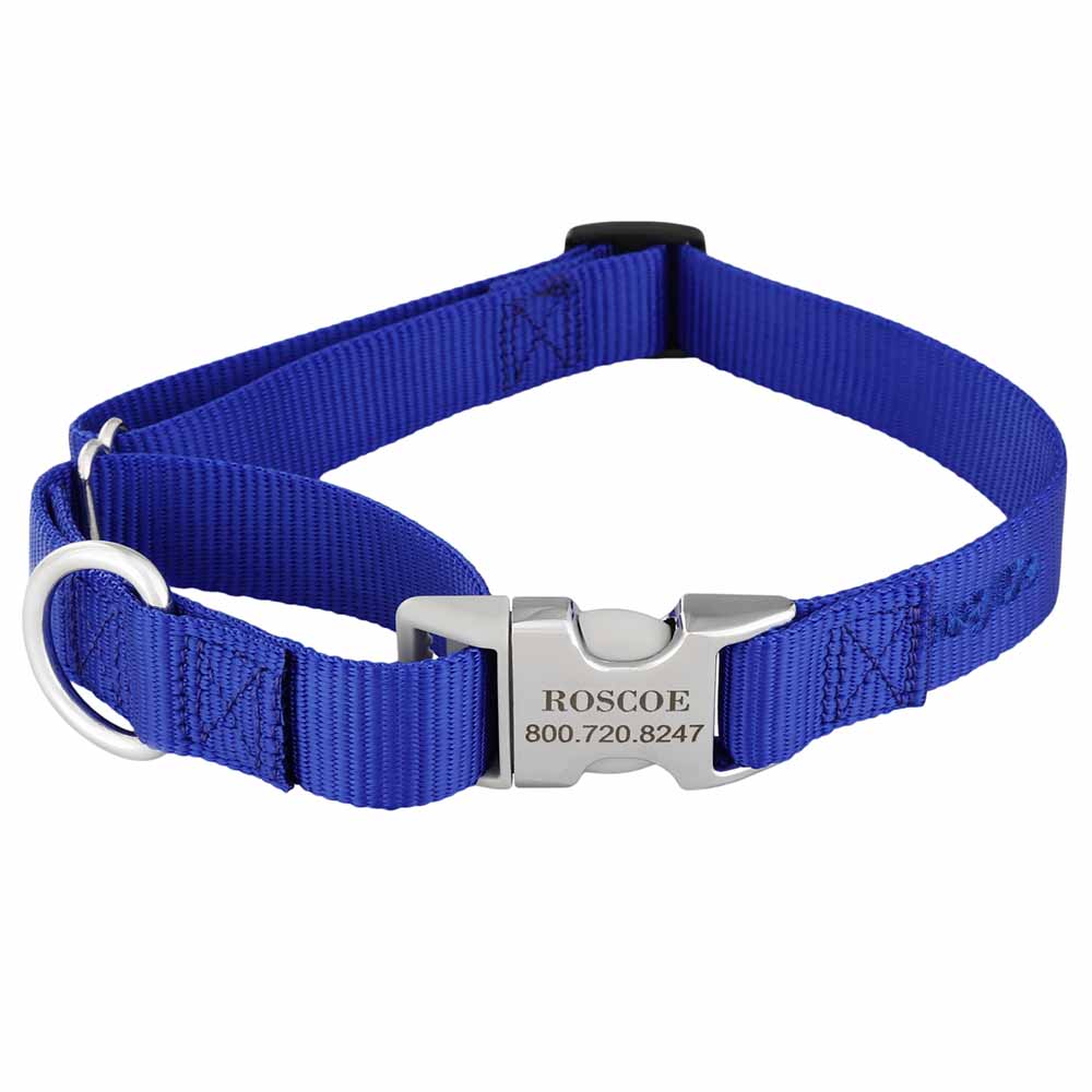 Martingale Dog Collar with Personalized Buckle Blue Hybrid Buckle