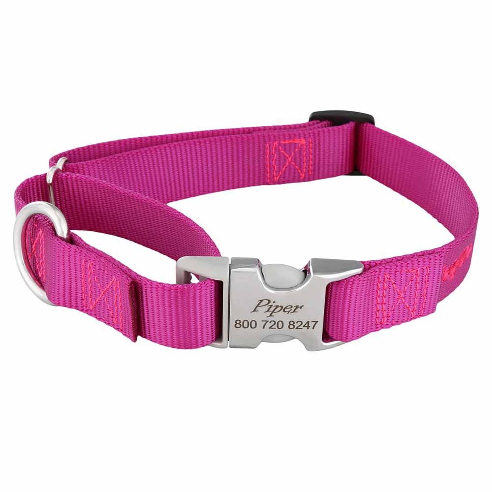 Martingale Dog Collar with Personalized Buckle Raspberry Hybrid Buckle